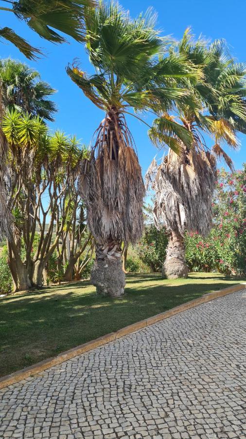 Residence Les Arcades Almadena Экстерьер фото